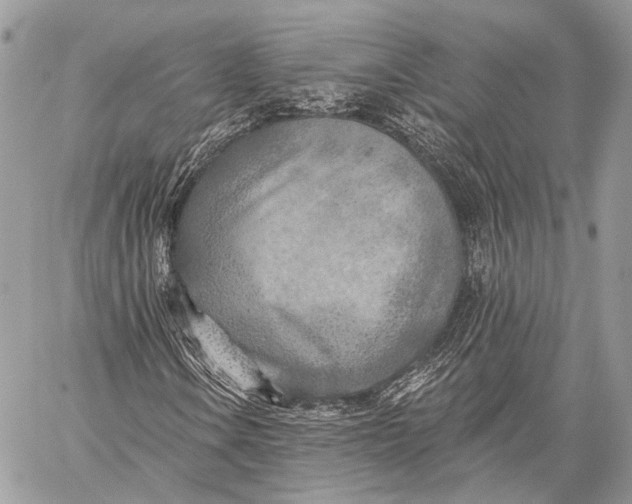 X0000059041106200510281535