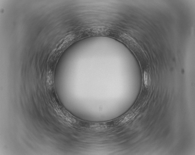 X0000059041107200510281535