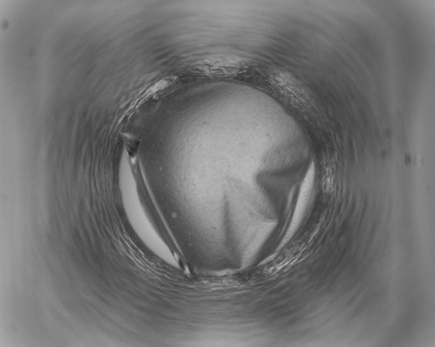 X0000059041108200510281535