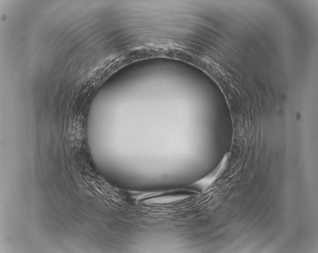 X0000059041110200510281535