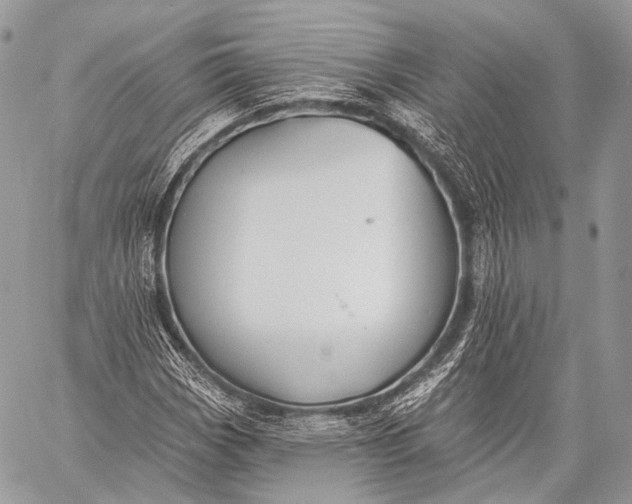 X0000059041113200510281535