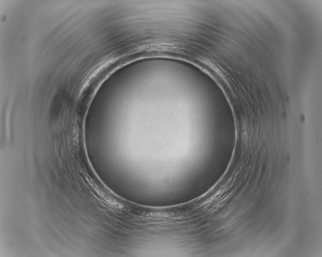 X0000059041115200510281535