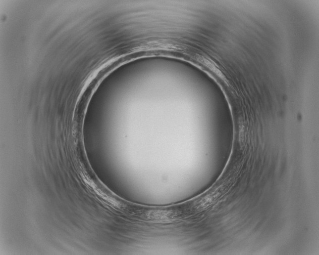 X0000059041116200510281535