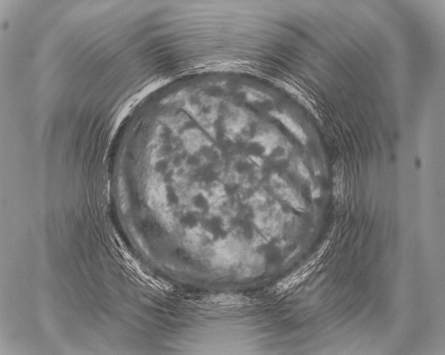 X0000059041117200510281535