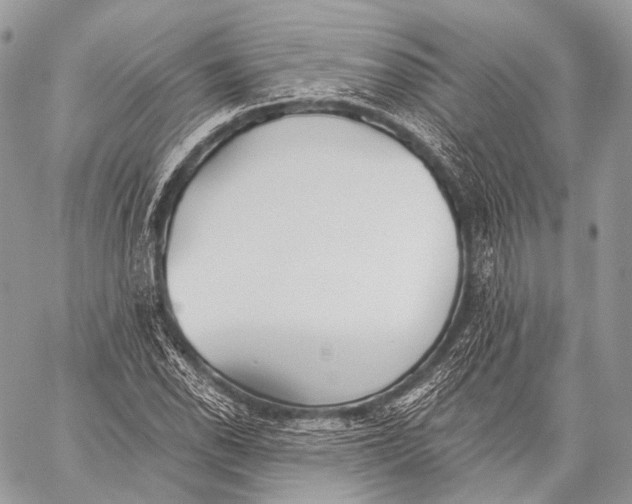 X0000059041118200510281535