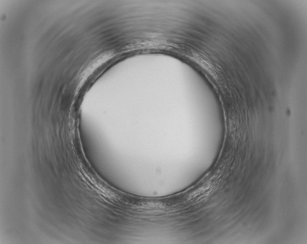 X0000059041119200510281535