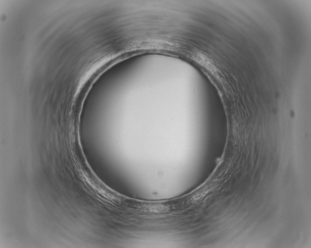 X0000059041120200510281535