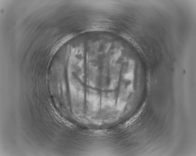 X0000059041121200510281535