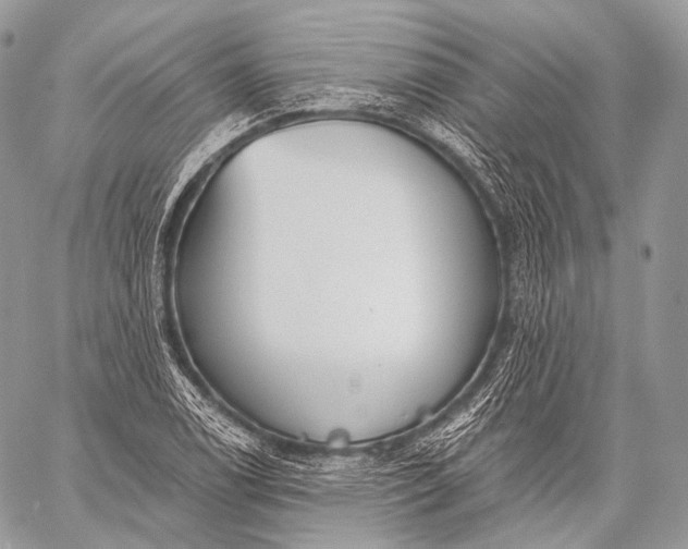 X0000059041122200510281535