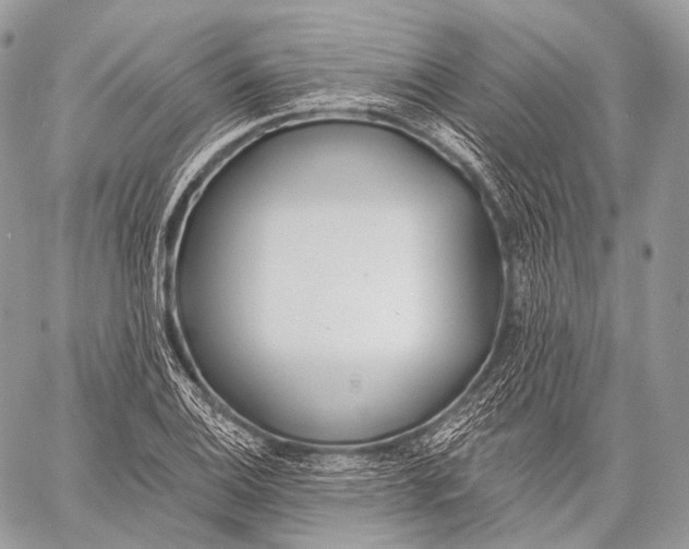 X0000059041124200510281535