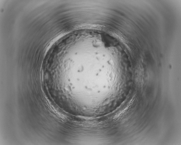 X0000059041125200510281535