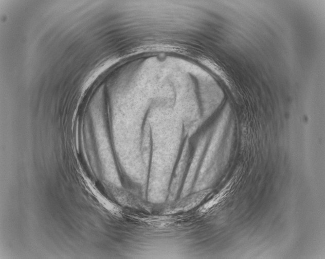 X0000059041127200510281535