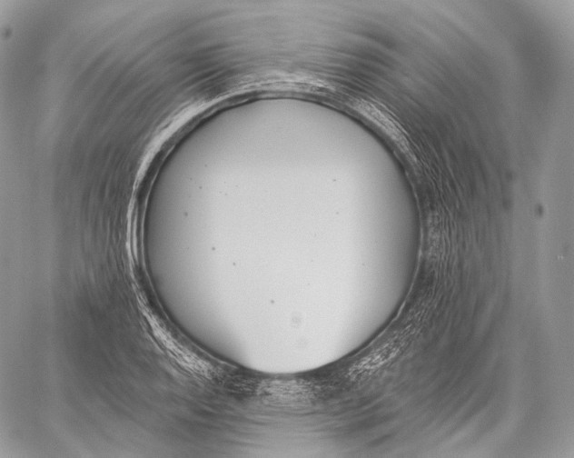 X0000059041128200510281535