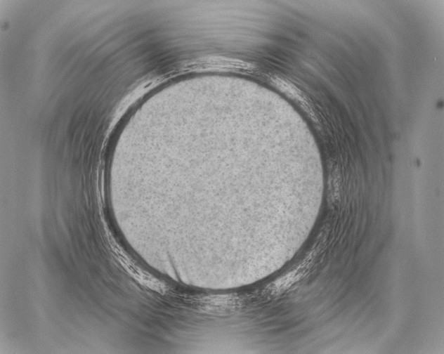 X0000059041130200510281535