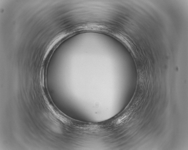 X0000059041131200510281535