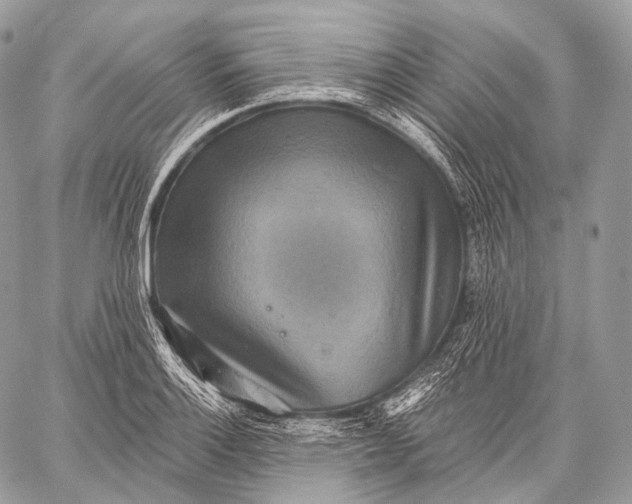 X0000059041132200510281535