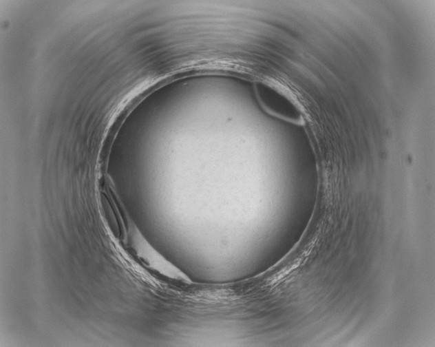 X0000059041133200510281535