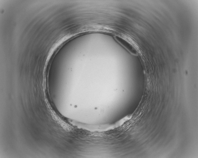 X0000059041136200510281535