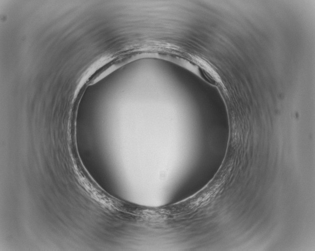 X0000059041138200510281535