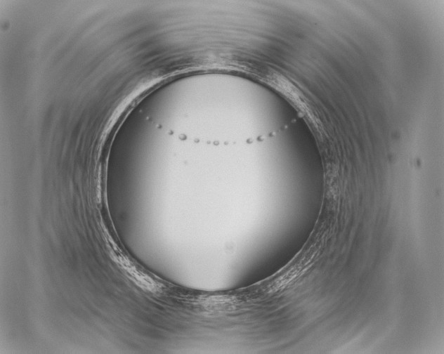 X0000059041140200510281535