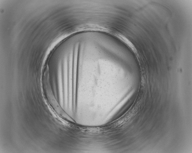 X0000059041144200510281536