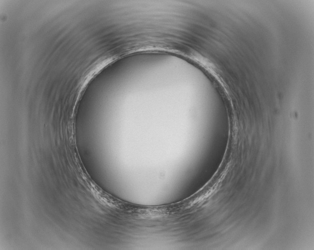 X0000059041145200510281536