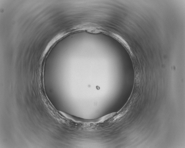 X0000059041146200510281536