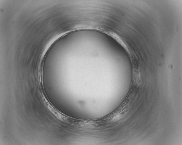 X0000059041148200510281536