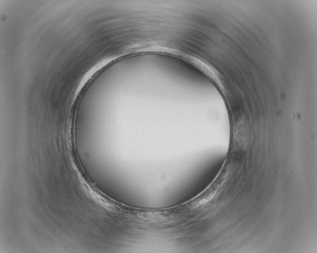 X0000059041149200510281536