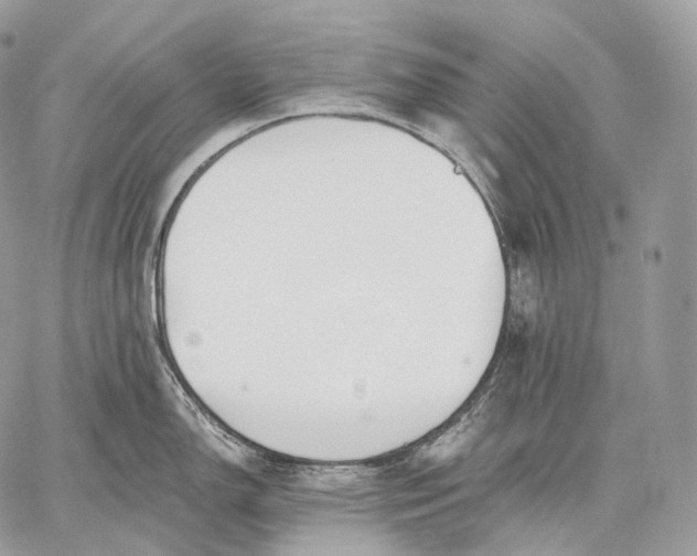 X0000059041150200510281536