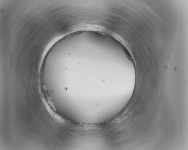 X0000059041152200510281536