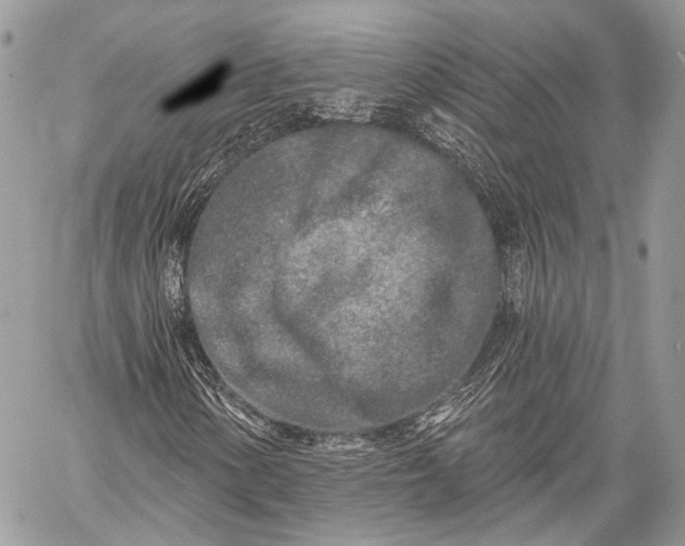 X0000059041154200510281535