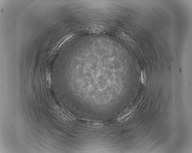 X0000059041155200510281535