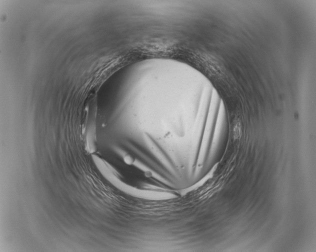 X0000059041156200510281535