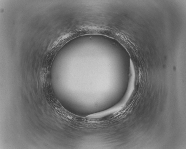 X0000059041157200510281535