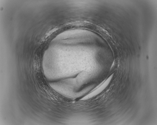 X0000059041158200510281535