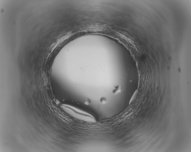 X0000059041160200510281535