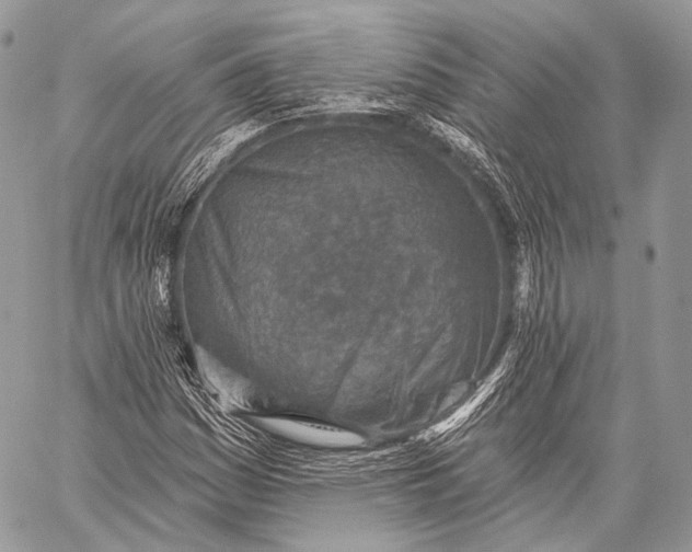 X0000059041161200510281535