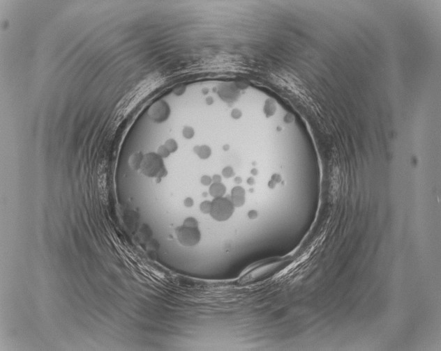 X0000059041162200510281535