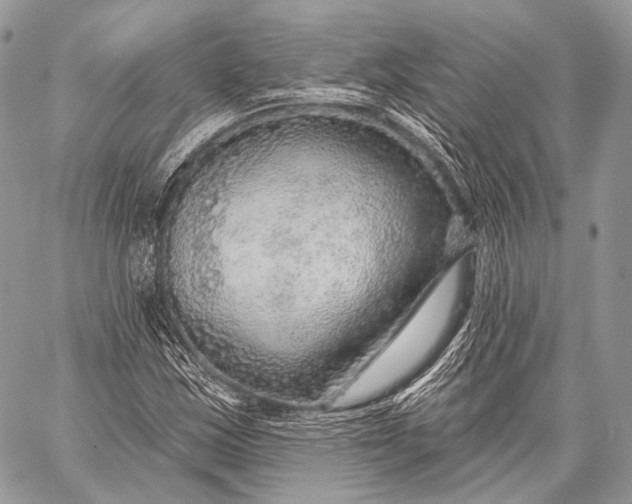 X0000059041163200510281535