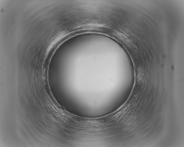 X0000059041164200510281535