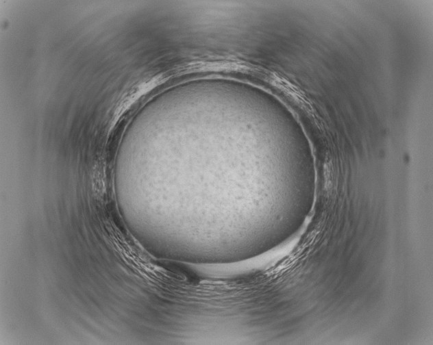 X0000059041165200510281535