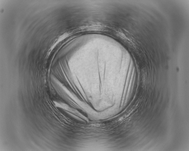 X0000059041166200510281535