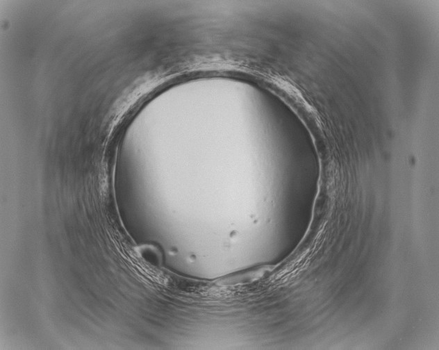 X0000059041167200510281535