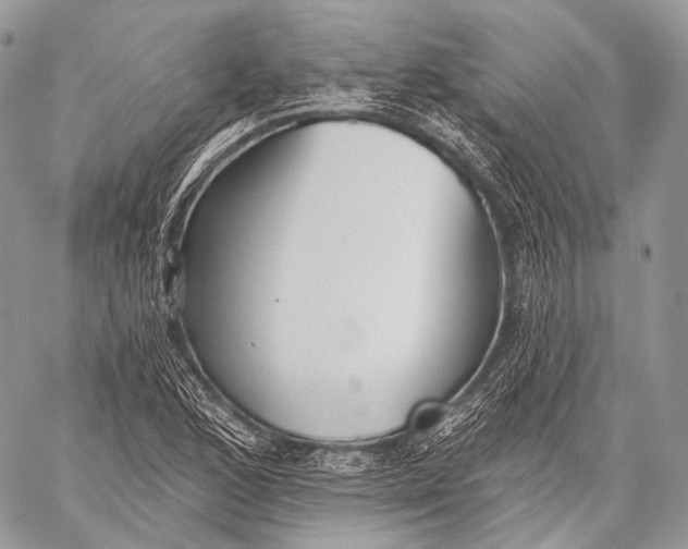 X0000059041168200510281535