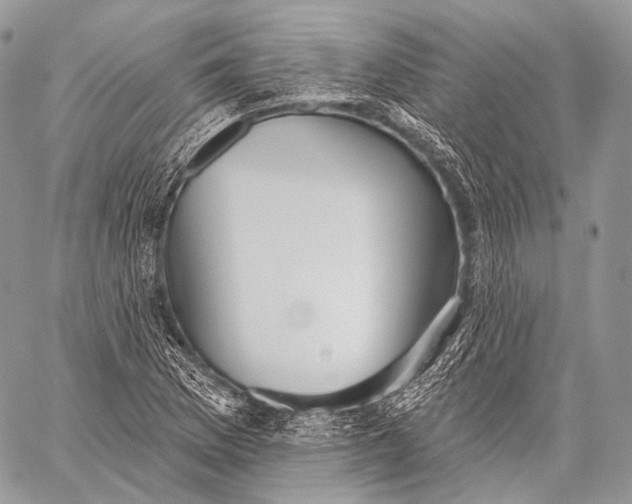 X0000059041169200510281535