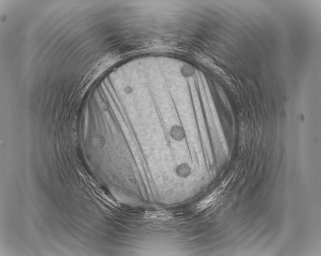 X0000059041170200510281535