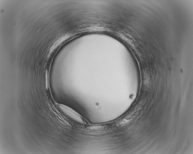 X0000059041171200510281535