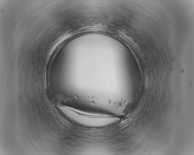 X0000059041174200510281535