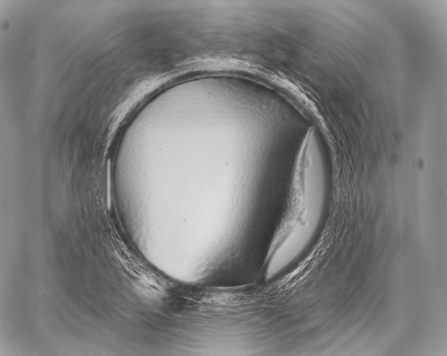 X0000059041175200510281535